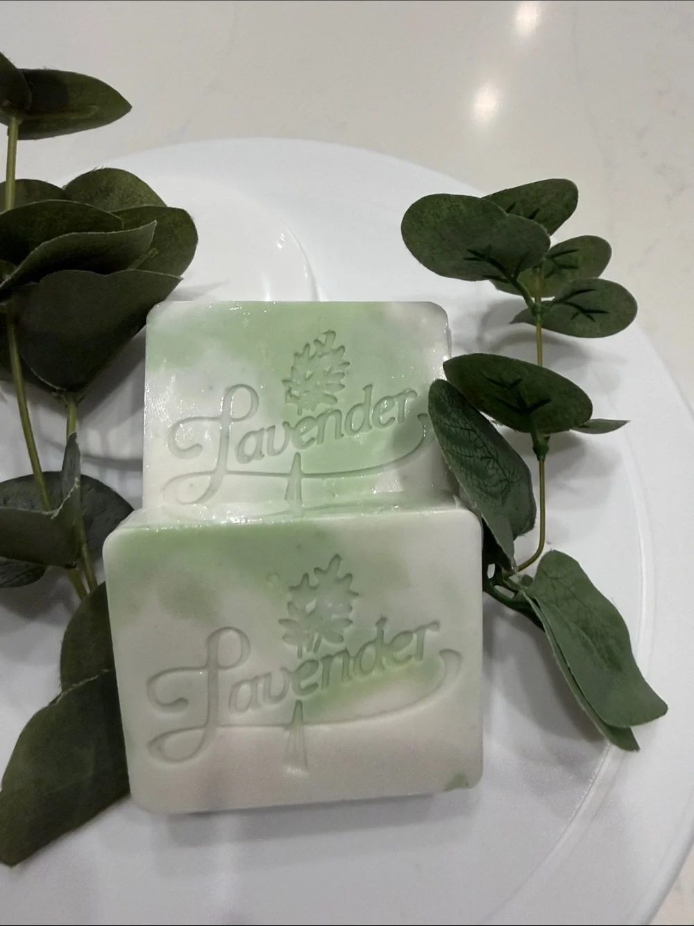 Eucalyptus&Coconut Scented White & Green Soap Bar by